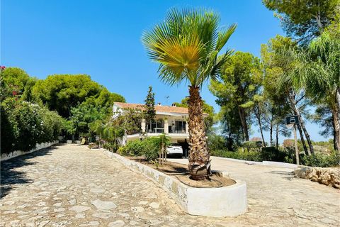 Villa a Alberic, Valencia, Alberic - € 280.000 | Ref: 09383 - foto 2